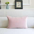 The Elowen Velvet Throw Pillow