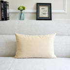 The Elowen Velvet Throw Pillow